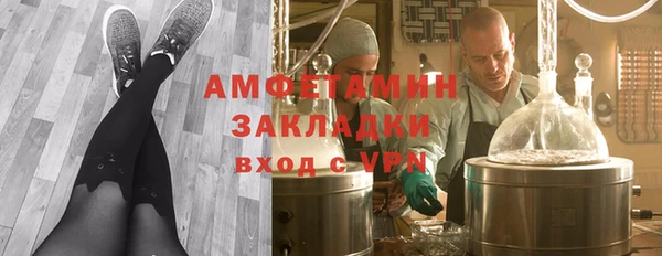 шишки Алзамай