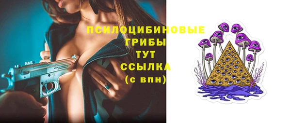 шишки Алзамай