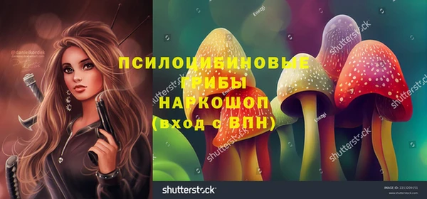 шишки Алзамай